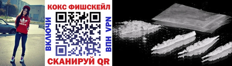 КОКАИН Fish Scale  Купить закладки  Нытва 