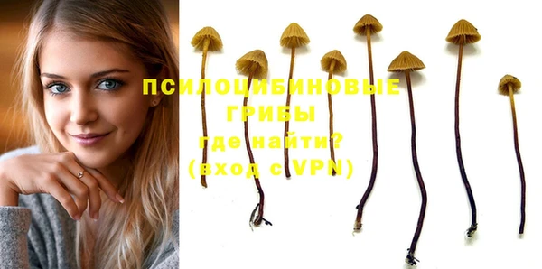 MDMA Premium VHQ Красноперекопск